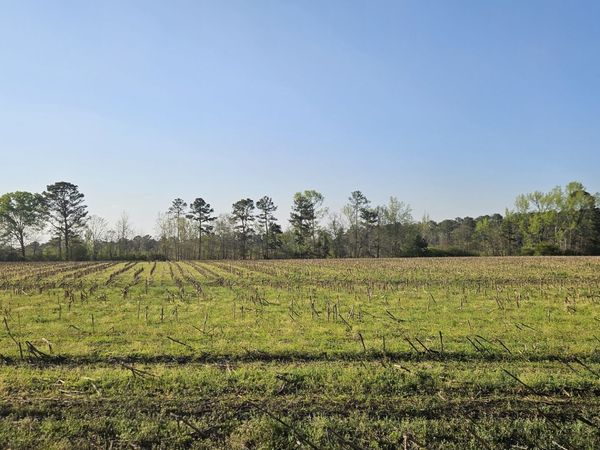 0 Shiloh Road, Greensboro, GA 30642
