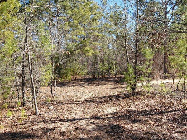 100 Sparrow Drive, Box Springs, GA 31801