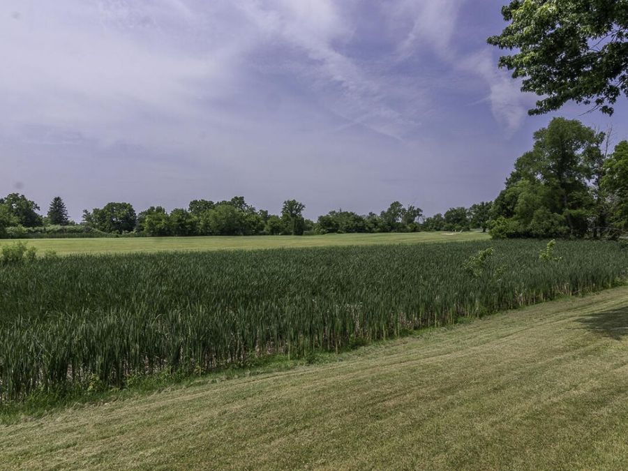 Property Image 59