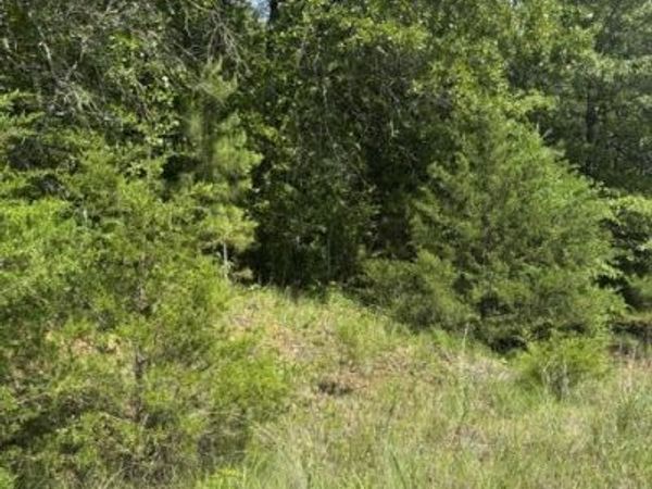 139 David Cove, Byhalia, MS 38611