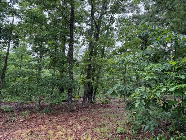OFF OF Morgan Cave Road , Harrison, AR 72601