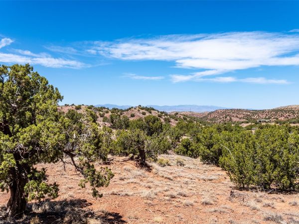 208-210 Purple Aster, Placitas, NM 87043