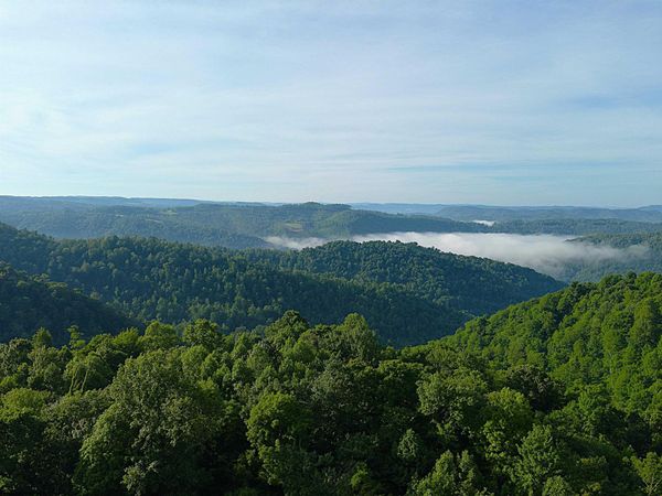 TBD Calvert Shaver Road, Rowlesburg, WV 26425