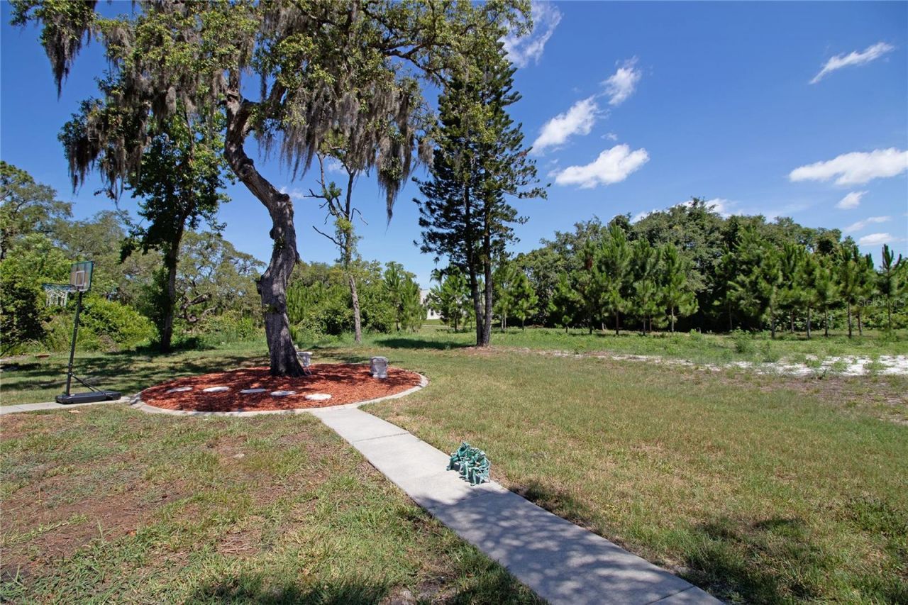 8933 Thoreau Place , Hudson, FL 34667 Photo