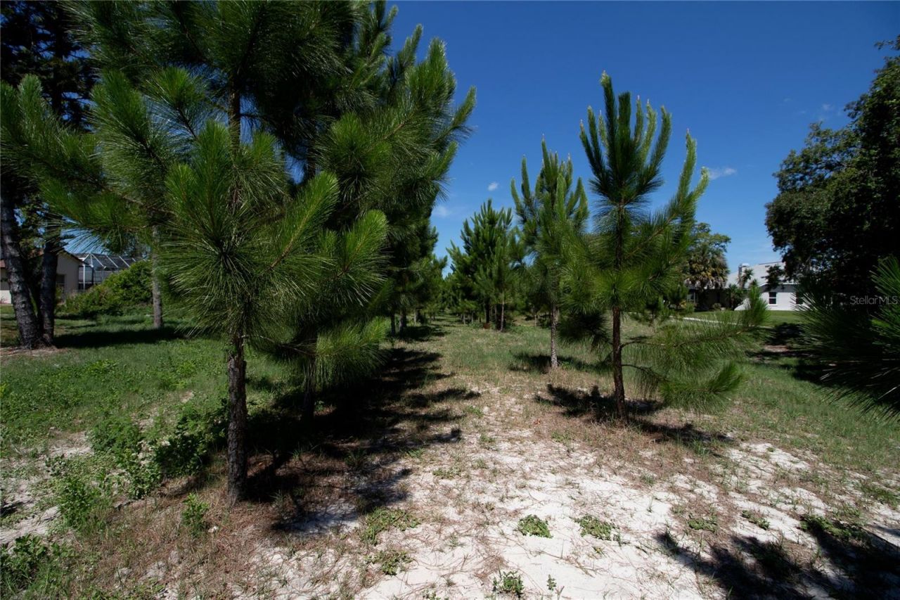 8933 Thoreau Place , Hudson, FL 34667 Photo