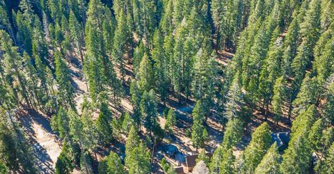 6139 41 Milestone, Unit 27, Kyburz, CA 95720 Photo