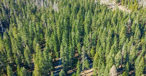 6139 41 Milestone, Unit 27, Kyburz, CA 95720 Photo