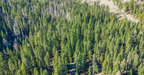 6139 41 Milestone, Unit 27, Kyburz, CA 95720 Photo