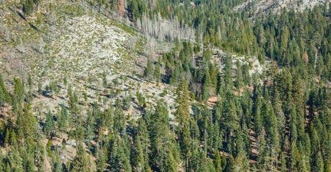 6139 41 Milestone, Unit 27, Kyburz, CA 95720 Photo