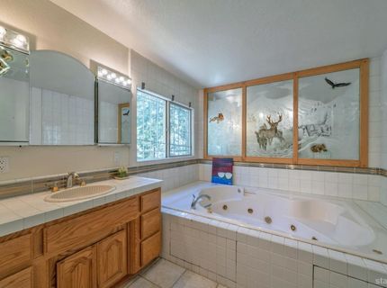 36 Milesstone, Unit 13, Kyburz, CA 95720 Photo