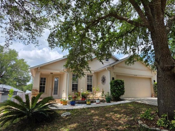 25147 IRONWEDGE DRIVE , SORRENTO, FL 32776