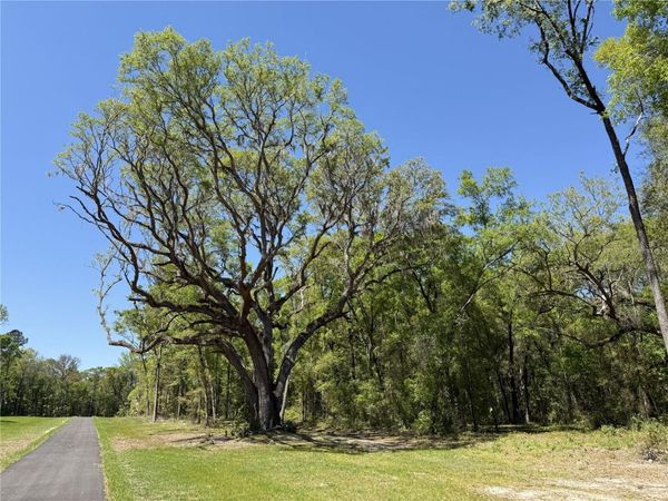 Irvine Acres #5 (13ac) W HWY 318 , REDDICK, FL 32686