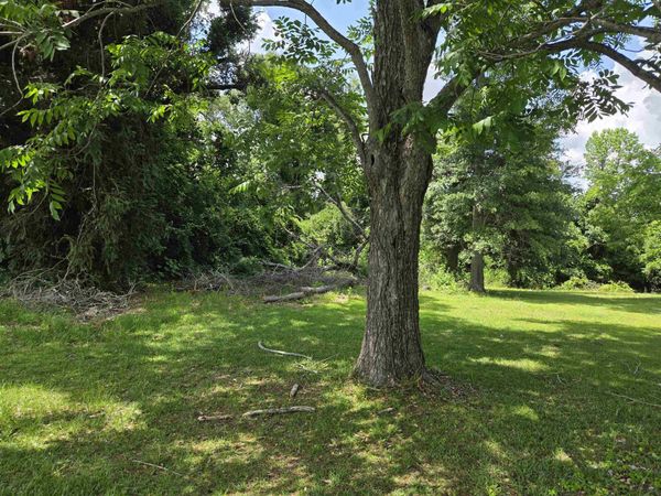 xxx Baltzell Street , Marianna, FL 32446