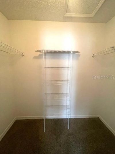 4617 Ashburn Square Drive , Tampa, FL 33610 Photo