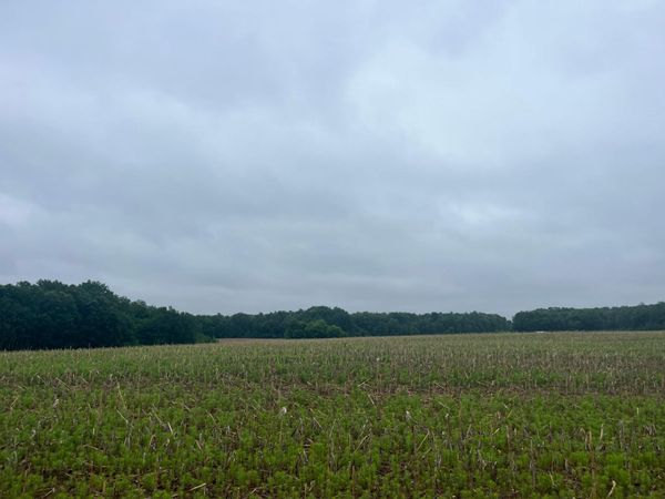 TBD (Lot 1) Hemingway Avenue , North Branch, MN 55056