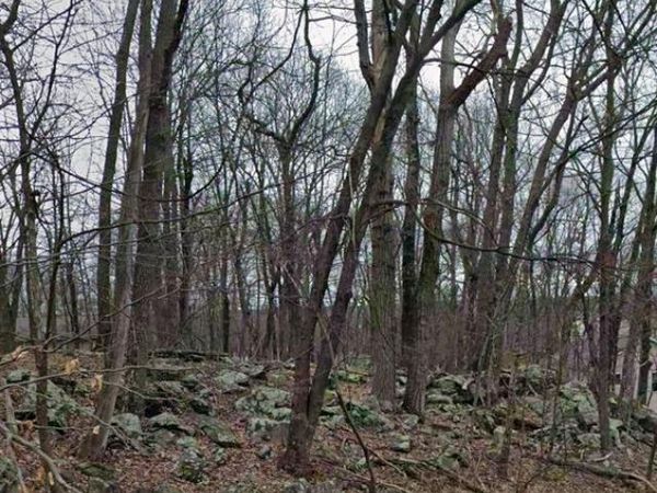 Hillcrest Drive, VERNON, NJ 07461
