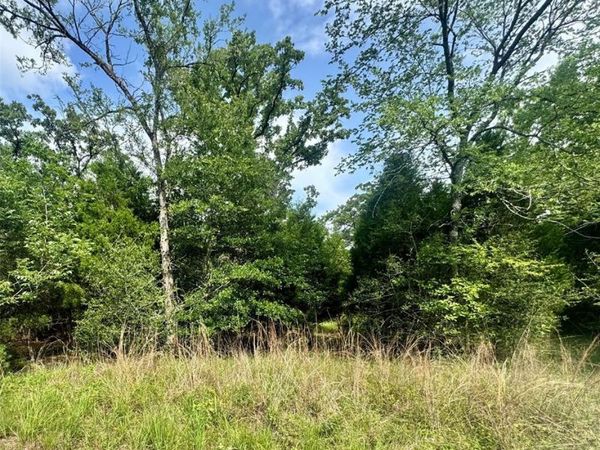 lot 2111 Butch Cassidy Drive , Log Cabin, TX 75148