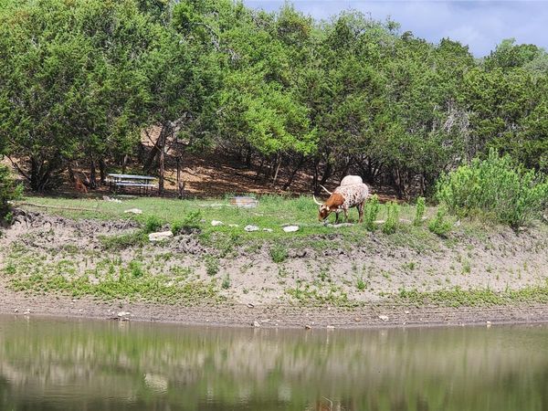 110 Longhorn LN , Dripping Springs, TX 78620