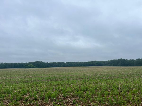 TBD (Lot 2) Hemingway Avenue , North Branch, MN 55056