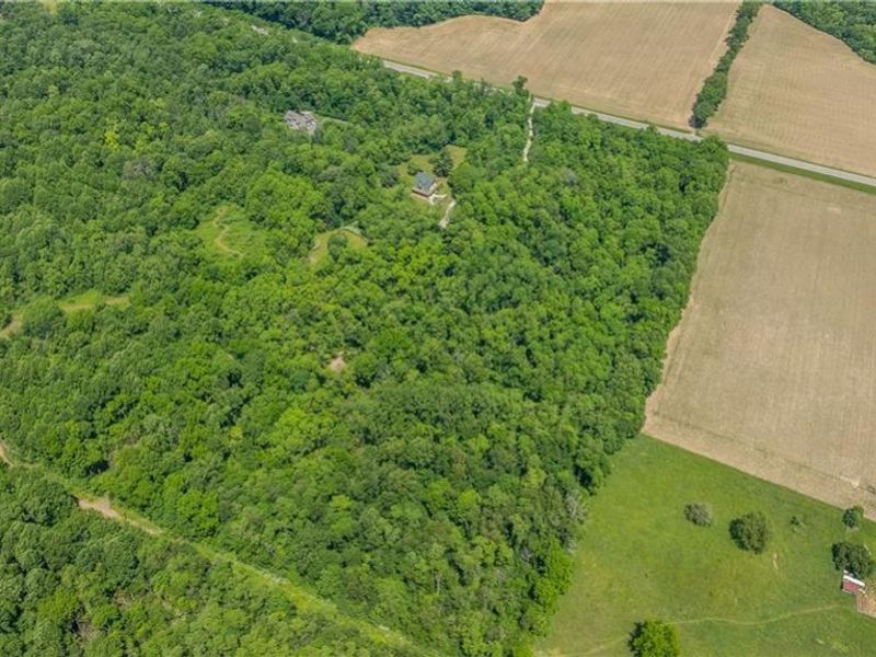 6599 US Highway 36 , Saint Paris, OH 43072 Photo 51