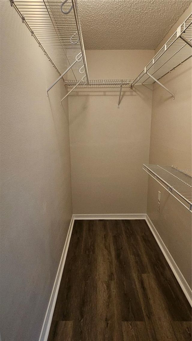 11720 Raintree Village Boulevard , Unit A, Temple Terrace, FL 33617 Photo