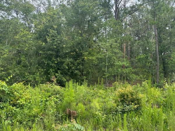 TBD NW CRIPPLE CREEK, Lake City, FL 32055
