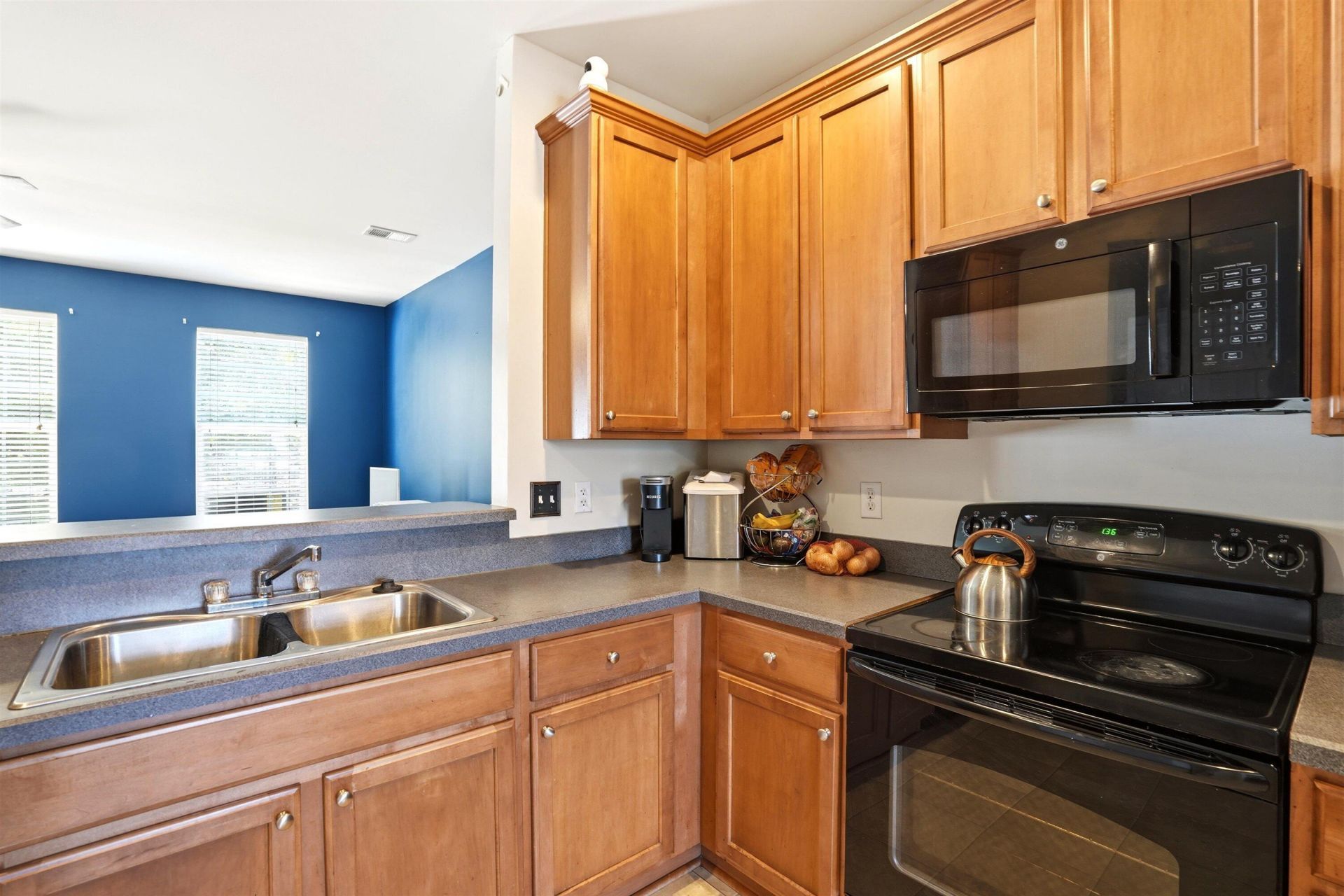 905 Hemingway Circle Photo 9