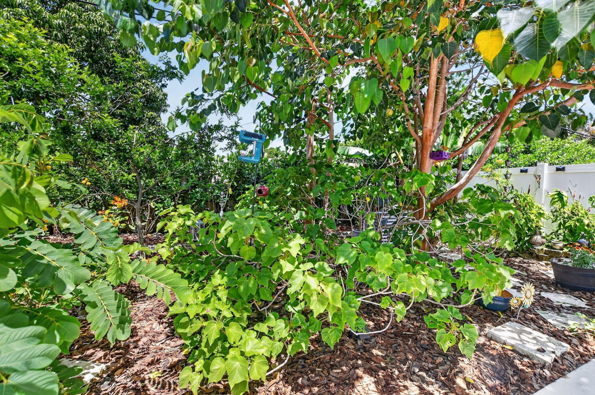 1207 SW 12th Avenue, Boca Raton, FL 33486 Photo