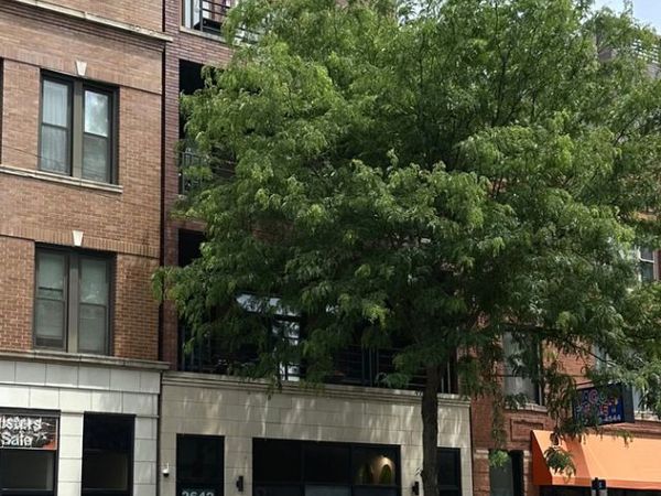 2642 W Chicago Avenue , Unit 4, Chicago, IL 60622