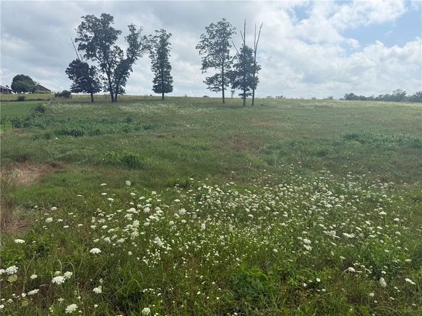 TBD Tract 2 Peterson Road, Gentry, AR 72734