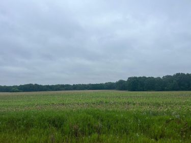 TBD (Lot 3) Hemingway Avenue, North Branch, MN 55056