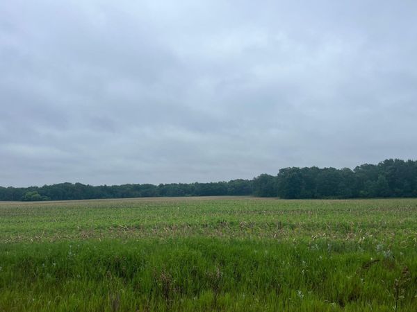 TBD (Lot 3) Hemingway Avenue, North Branch, MN 55056