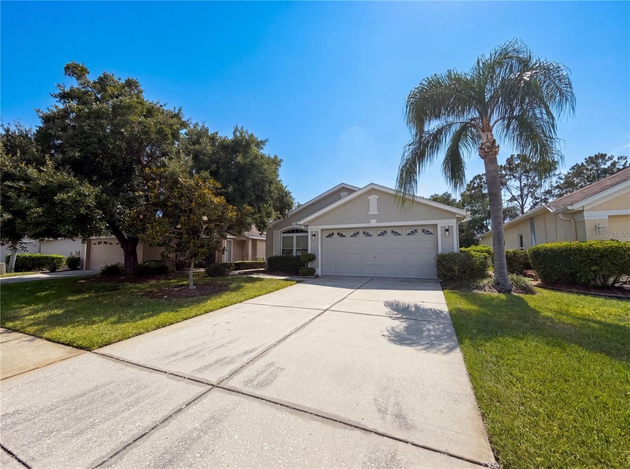 3133 Banyan Hill Lane , Land O Lakes, FL 34639 Photo