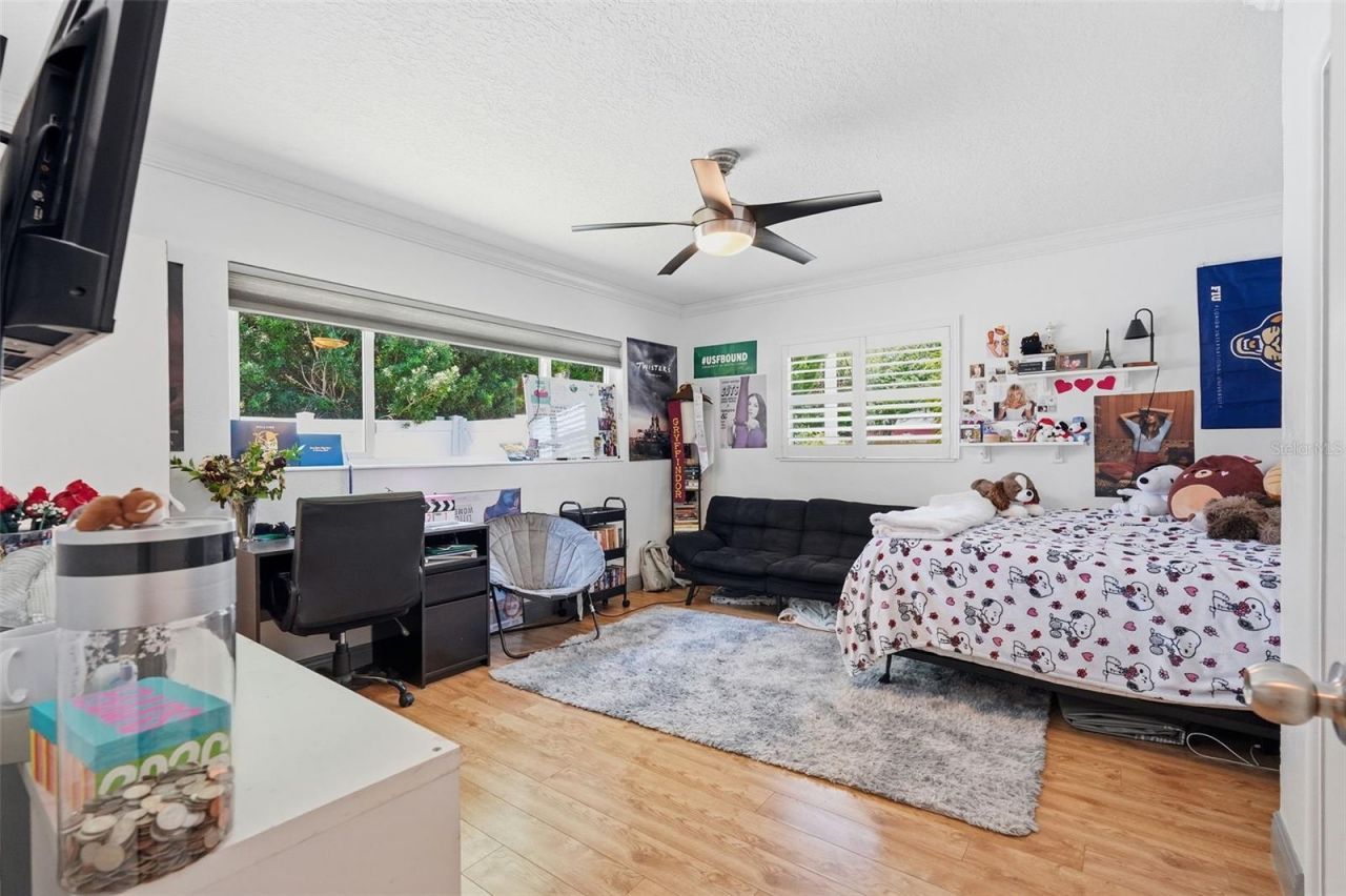 2900 Park Street N, Saint Petersburg, FL 33710 Photo