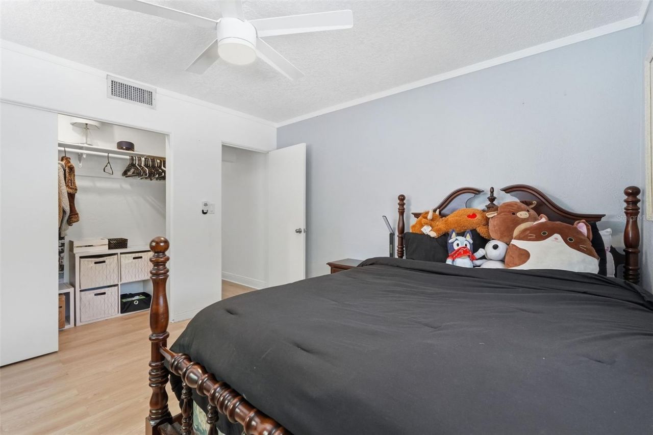 2900 Park Street N, Saint Petersburg, FL 33710 Photo