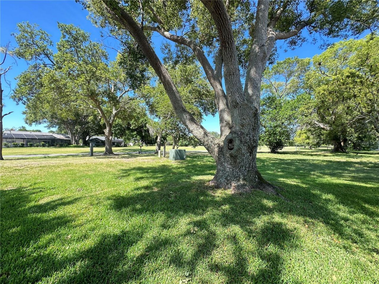 7800 Fairlawn Drive , Hudson, FL 34667 Photo