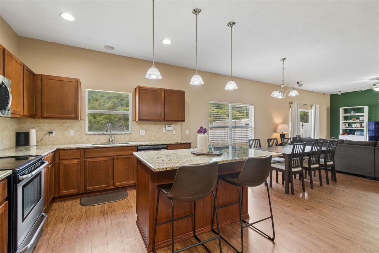 10620 Carloway Hills Drive , Wimauma, FL 33598 Photo