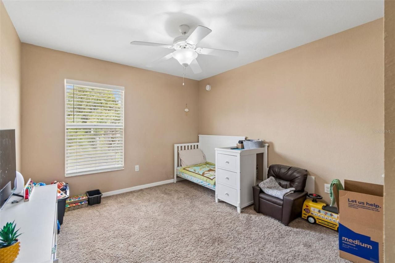 10620 Carloway Hills Drive , Wimauma, FL 33598 Photo