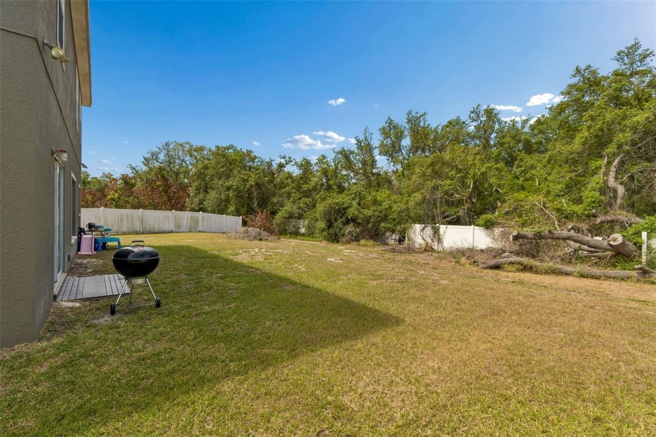 10620 Carloway Hills Drive , Wimauma, FL 33598 Photo