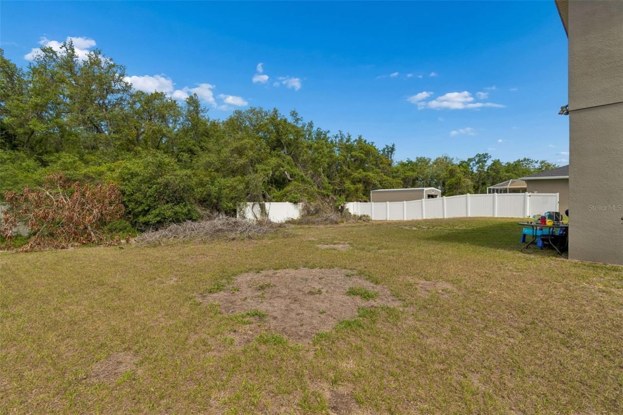 10620 Carloway Hills Drive , Wimauma, FL 33598 Photo