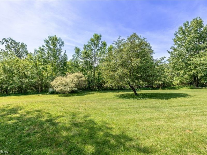 10614 Jones Road, Litchfield, OH 44253 Photo 29