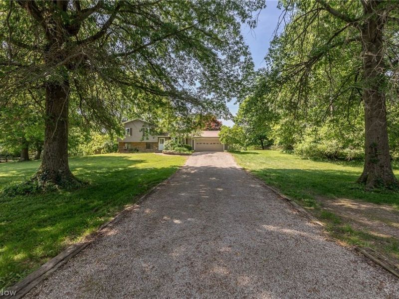 10614 Jones Road, Litchfield, OH 44253 Photo 34