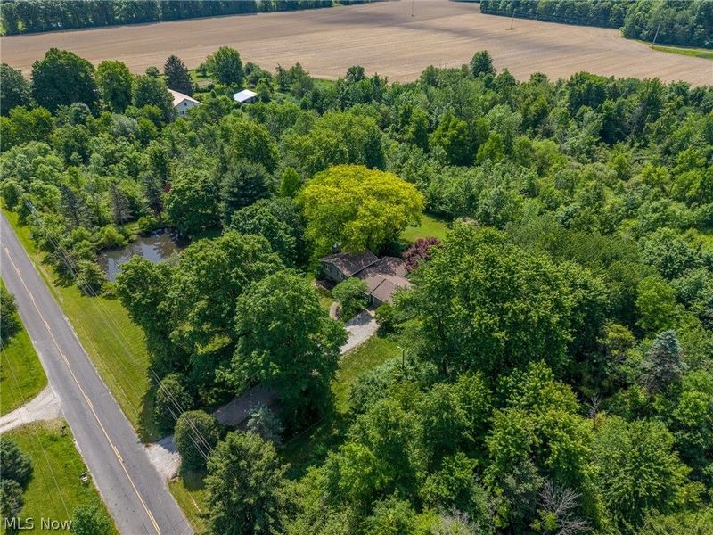 10614 Jones Road, Litchfield, OH 44253 Photo 41