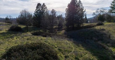 527 E Highway 4, Murphys, CA 95247 Photo