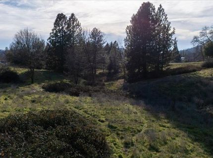527 E Highway 4, Murphys, CA 95247 Photo