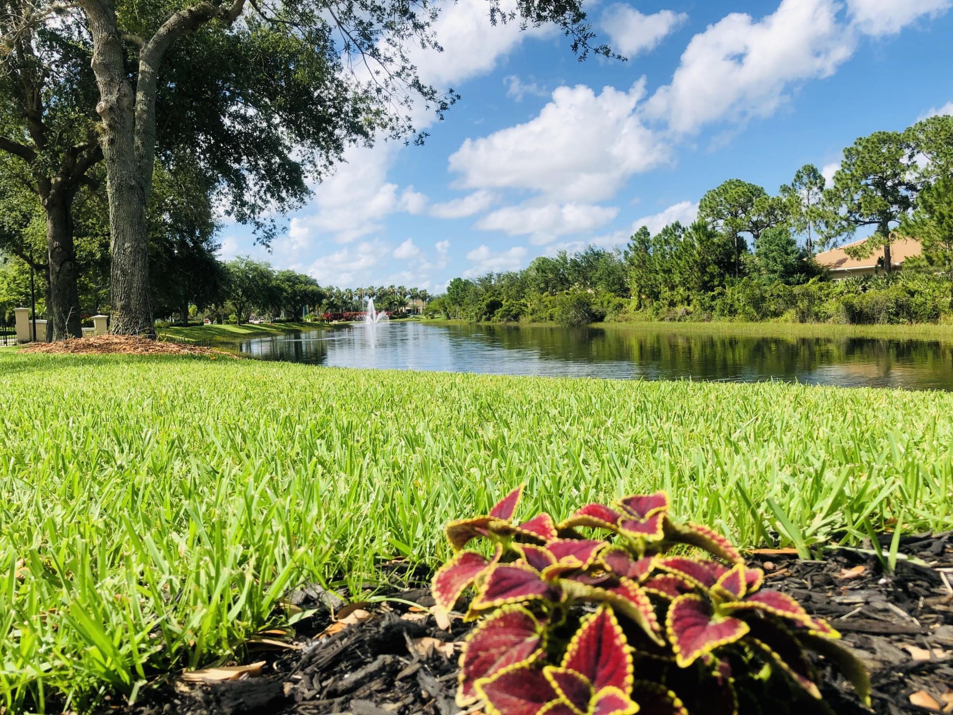 764 SW St Croix Cove, Port Saint Lucie, FL 34986 Photo