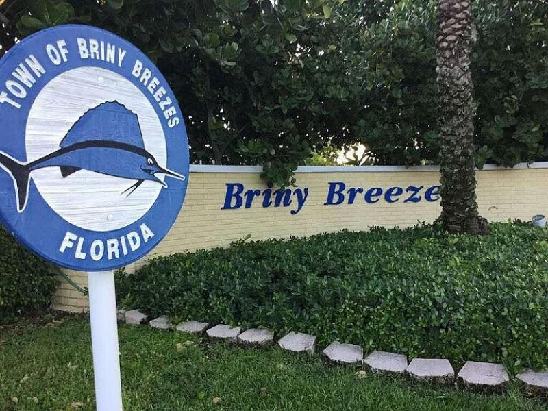 206 Eagle Drive E, Briny Breezes, FL 33435 Photo