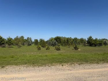 Windmill Lane , Imlay Twp, MI 48444