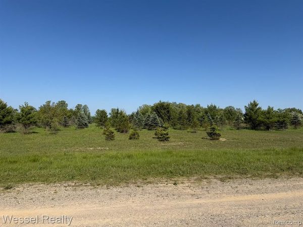 Windmill Lane , Imlay Twp, MI 48444
