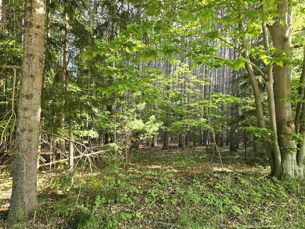 8869 Ferry Road, East Jordan, MI 49727